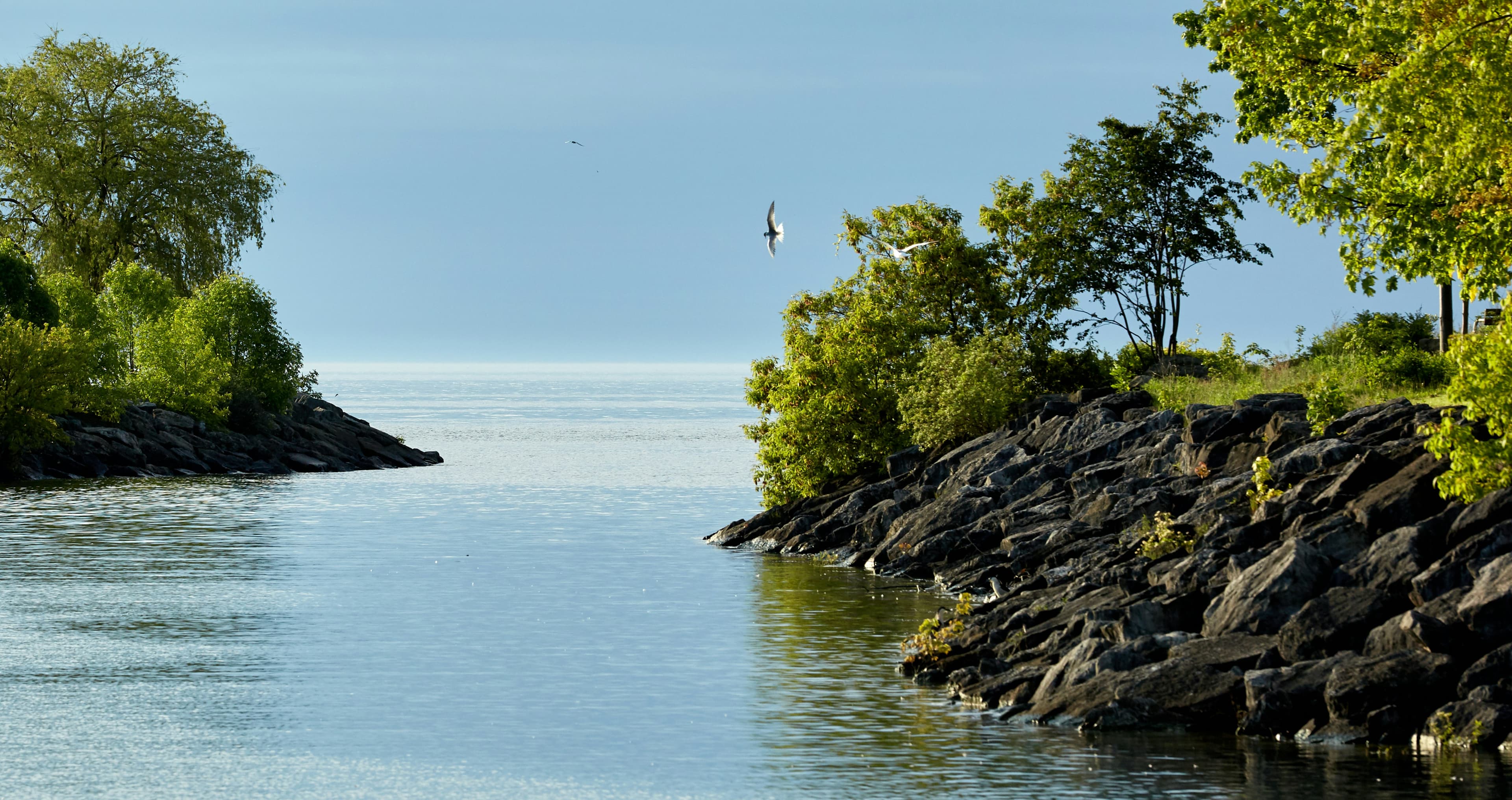 Mississauga, ON