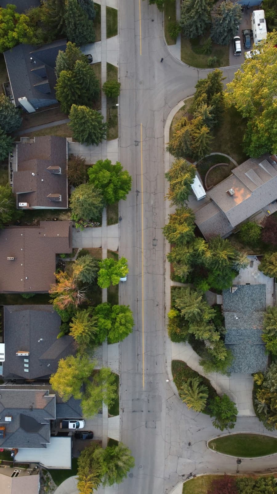 Aerial view of a Calgary suburban street lined with detached houses and trees