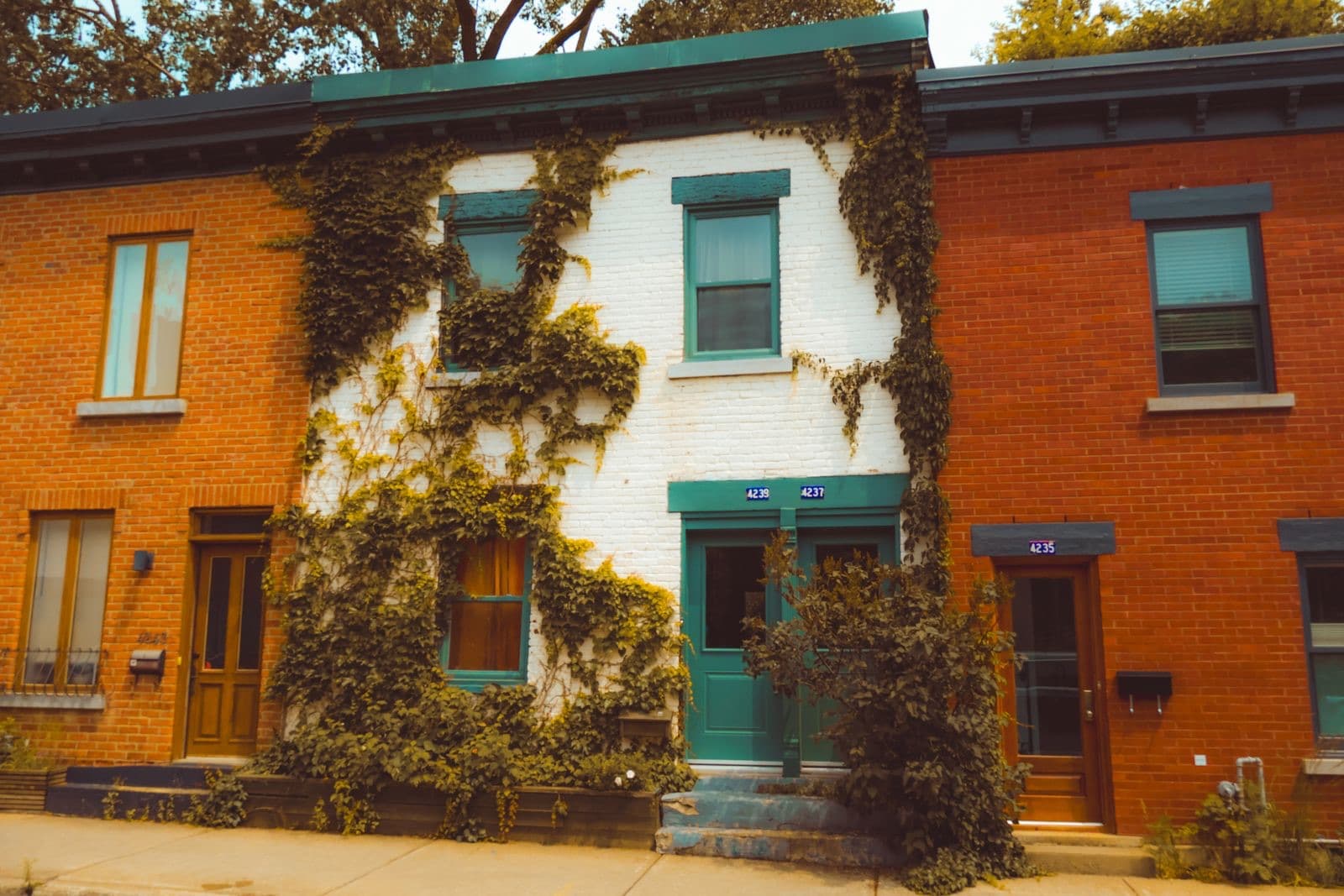 Ivy-covered Montreal row houses with teal doors on a residential street